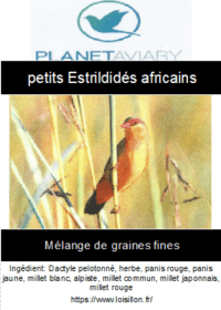 Melanges-petits-estreldides8.jpg